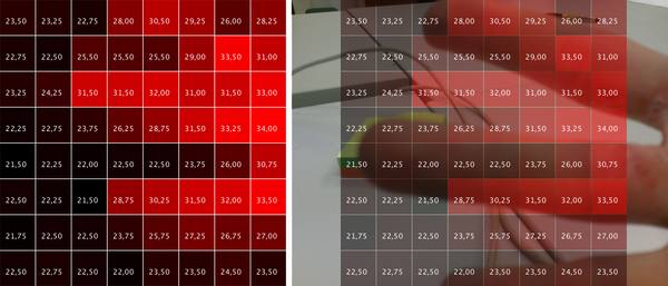 thermal array overlay of a hand